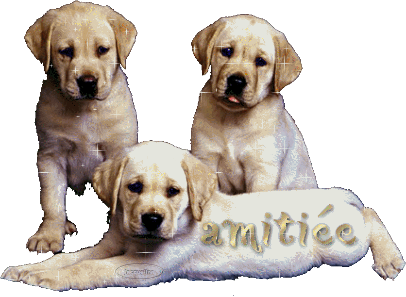 amiti&eacute;e